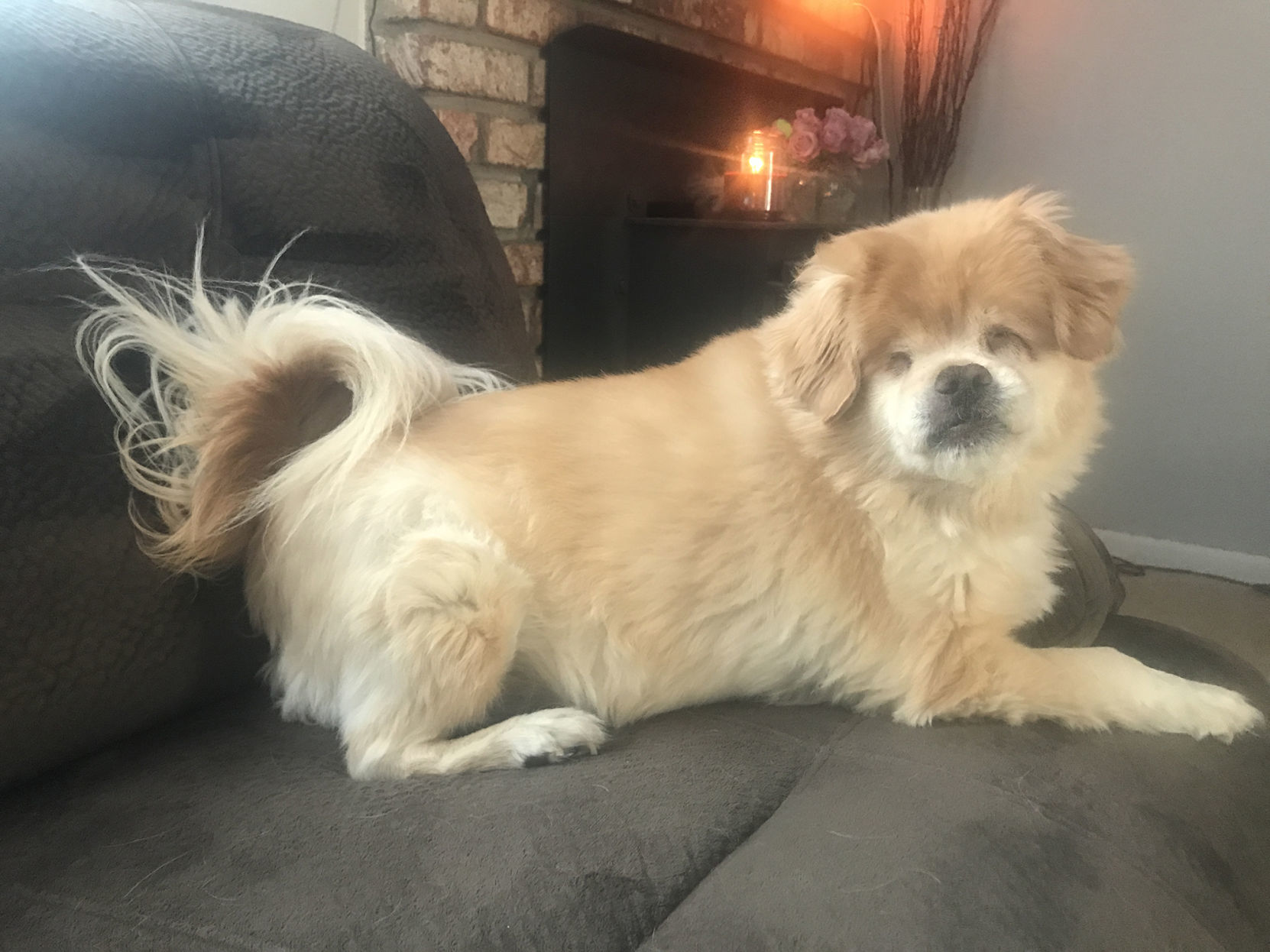 Pic of the Litter: Sparky